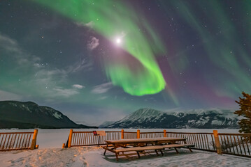 northern lights aurora seen outside of whitehorse in yukon territory, canada during winter time with