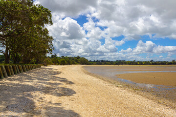 Wall Mural - Landscape Scenery of Brooks Beach during Low Tide; Awhitu Regional Park, Auckland New Zealand