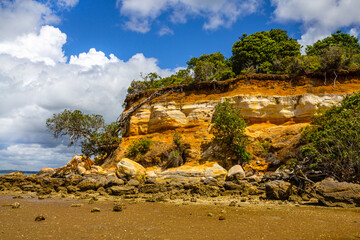 Wall Mural - Landscape Scenery of Headland Awhitu Regional Park Beach during Low Tide; Kauritutahi Beach; Auckland New Zealand