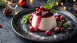 © Working Moments - Delectable panna cotta garnished with cranberry sauce and fresh berries on a somber plate