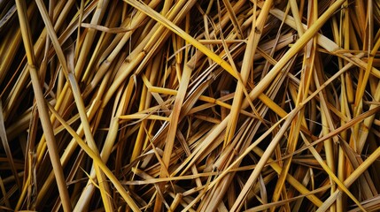 Canvas Print - Yellow straw stack in a dense arrangement