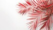 © TheWaterMeloonProjec - Minimalistic red palm tree leaves on white wall with copy space