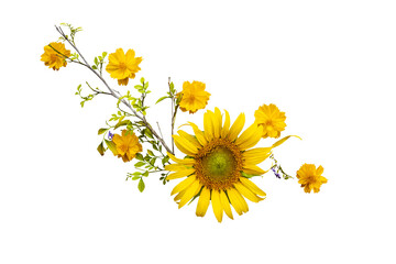 Wall Mural - yellow flowers sunflowers, cosmos arrangement flat lay postcard style 