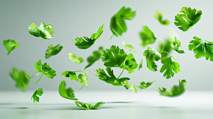 Wall Mural - Green Cilantro Leaves Suspended in Air Against White Background