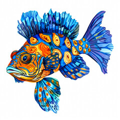 Wall Mural - A vibrant mandarin fish with striking blue and orange patterns, cute cartoon ink watercolor illustration isolated on a white background