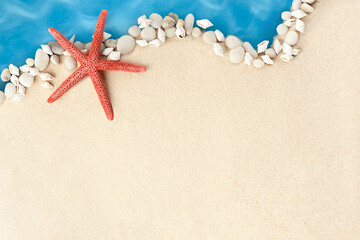 small seashells and starfish in the form of a coastline on a summer background of sand and sea