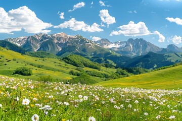 Wall Mural - Idyllic mountain landscape with meadows and wildflowers on sunny day   panoramic spring scenery