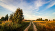 © sergofan2015 - Rural road in a field against the backdrop of a summer sunset.
