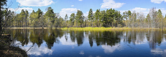 Wall Mural - Panorama of the forest river.