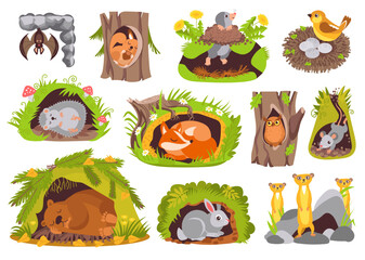 Cute animals in holes. Cartoon nature creatures sleep in burrows. Owl in hollow tree. Gophers and bears dream in dens. Fauna characters. Forest mammals. Birds nest. Splendid vector set