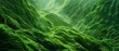 © markusmiller - Abstract green landscape wallpaper serene, tranquil natural setting transports