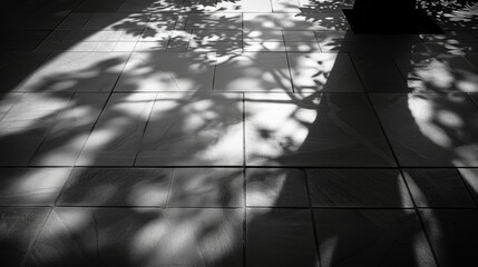 Poster - Monochrome ceramic floor illuminated by tree shadows