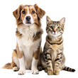 © Sudipta - dog and cat sitting together isolated on transparent background