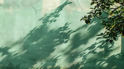 Wall Mural - abstract tree shadows on green wall background with text space