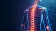 © steph photographies - 3d illustration of the human body. backache on red spine. Medical concept