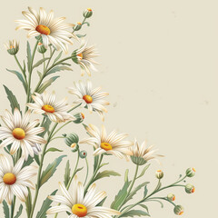 Wall Mural - Chamomile. Illustrations of daisy flowers and leaves for frame, border, vintage wedding invitations on craft paper, floral greeting card, flyer or template in elegant trendy style