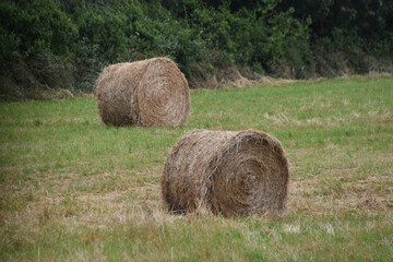 a bale of hay in a field, France