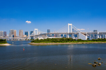 Wall Mural - 東京都港区 お台場海浜公園、展望デッキから見るレインボーブリッジ