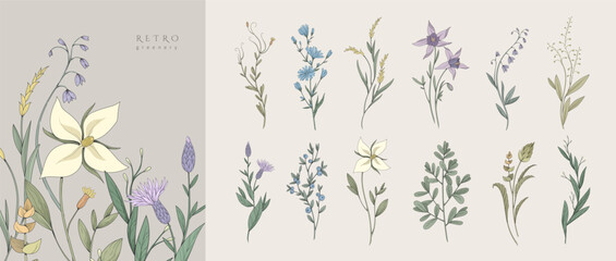 Wall Mural - set of colored luxury flowers and trendy botanical elements. hand drawn leaves branches and blooming