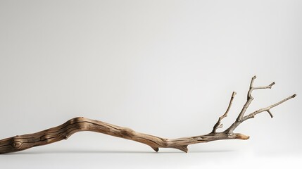 a wooden branch white background