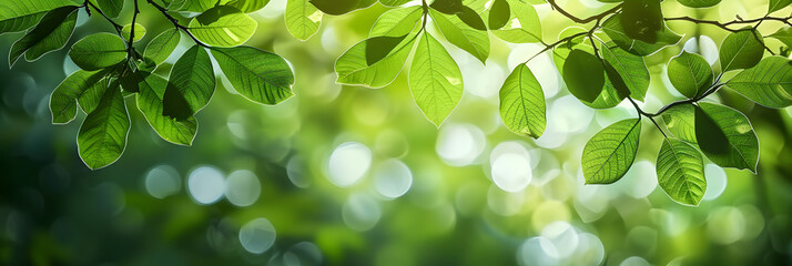 Sticker - branches with green leaves beautiful green background. Creative banner. Copyspace image