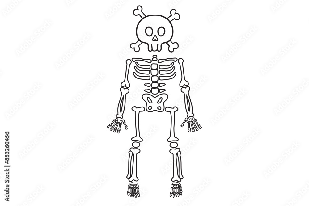Halloween skeleton and headSkeleton parts Svg, Skeleton Png, Skeleton ...