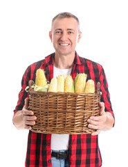 Wall Mural - Mature male farmer with wicker basket full of ripe corn cobs isolated on white background