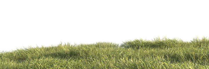 Wall Mural - grass isolated