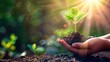 © elimicel - Hand holding seedling plant with blurred green nature background with sunlight. Earth Day idea, AI generated image