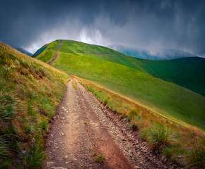 Wall Mural - Thick rain clouds above green hillside. Dramatic summer view of Svydovets mountain range with old dirt road in Carpathians, Ukraine. Beauty of nature concept background.