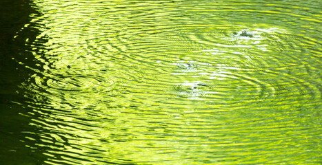 Poster - Circles on the surface of water in nature. Abstract background