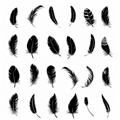 Wall Mural - Feather icon, animal feathers isolated, black plume symbol, minimal plume silhouette on white
