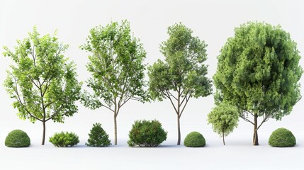 Wall Mural - Various Green Trees and Bushes Collection Isolated on White Background, Generative AI