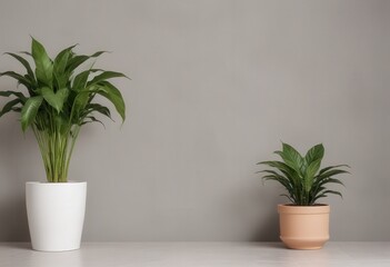 Wall Mural - plant in a vase