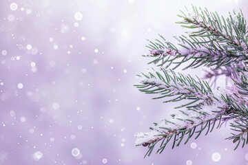 Sticker - A tranquil winter scene featuring an evergreen twig adorned with snowflakes on a soft lavender gradient background.