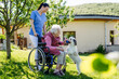 © Halfpoint - Female caregiver showing cute dog to senior woman in wheelchair. Nurse and elderly woman enjoying a warm day outdoors.
