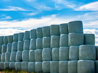 Canvas Print - Heu und Silageballen lagern vor einer Scheune