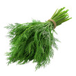 © Asier - Fresh green dill with feathery leaves.