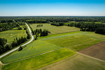 Wall Mural - An aerial view showcasing lush green fields and dense forests under a clear blue sky. A winding road cuts through the landscape, connecting distant farmlands. Copy space in the sky area.