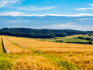 Canvas Print - Agrarlandschaft im Frühjahr