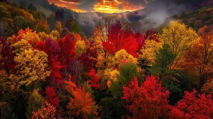 Wall Mural - Stunning autumn forest with vibrant red, yellow, and orange foliage under a dramatic sunset sky, creating a picturesque landscape.