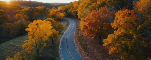 Wall Mural - Aerial view of a winding road through a colorful autumn forest with orange and yellow foliage, captured during sunset.