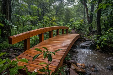 Wall Mural - Wooden Bridge in Lush Rainforest