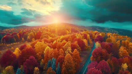Wall Mural - A breathtaking aerial view of a colorful autumn forest illuminated by the golden glow of a setting sun against a dramatic sky.