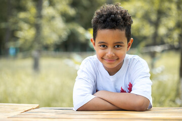 Wall Mural - Close up portrait of an eight year old mixed race boy, summer outdoor