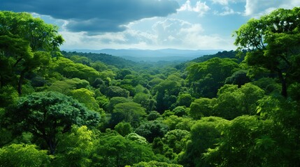 Sticker - landscape with trees