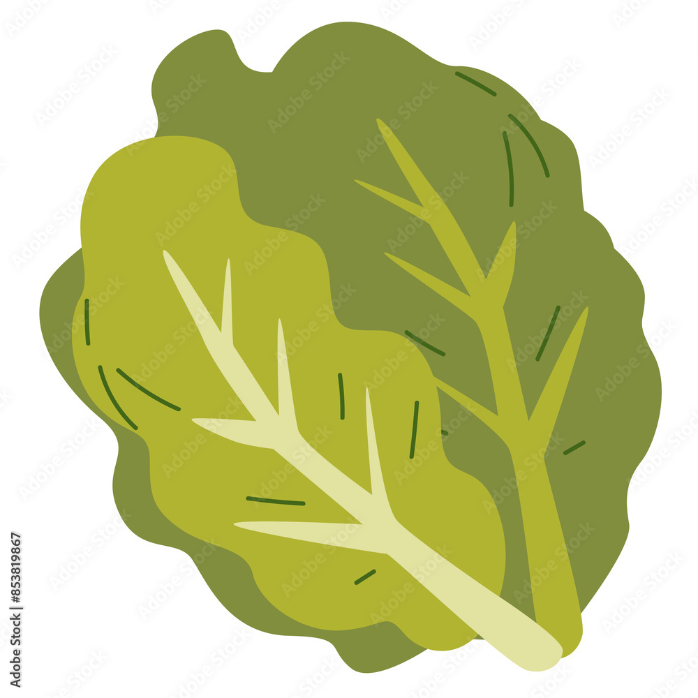 Cabbage vegetable vector illustration, cabbage flat icon design ...