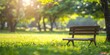 © Kamonwan - The photo shows a park bench sitting in a lush green field on a sunny day.