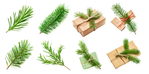 Set of christmas pine leaves isolated