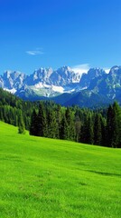 Wall Mural - a beautiful green meadow in the Alps, with tall trees and majestic mountains in the background, capturing a wide view of the natural landscape on a stunning summer day.